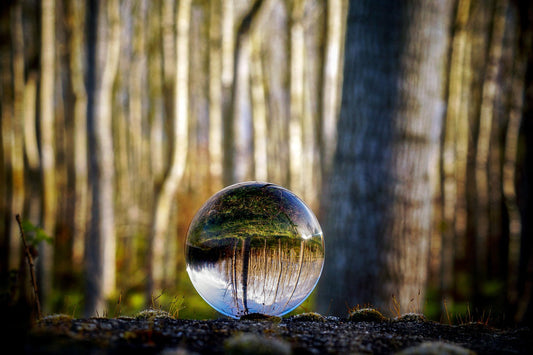 The Psychology of Survival: 7 Mental Strategies to Stay Calm During a Crisis