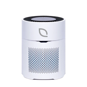 Air Sentry 300
