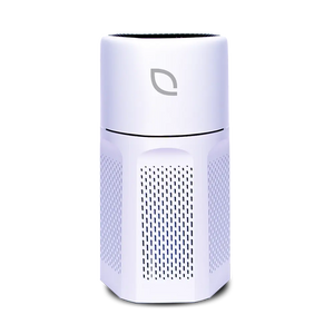 Air Sentry 500